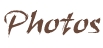 Photos